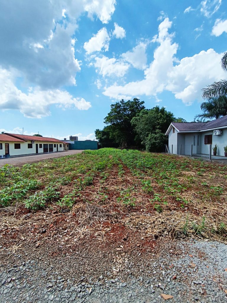 WhatsApp-Image-2024-12-02-at-14.20.35-2