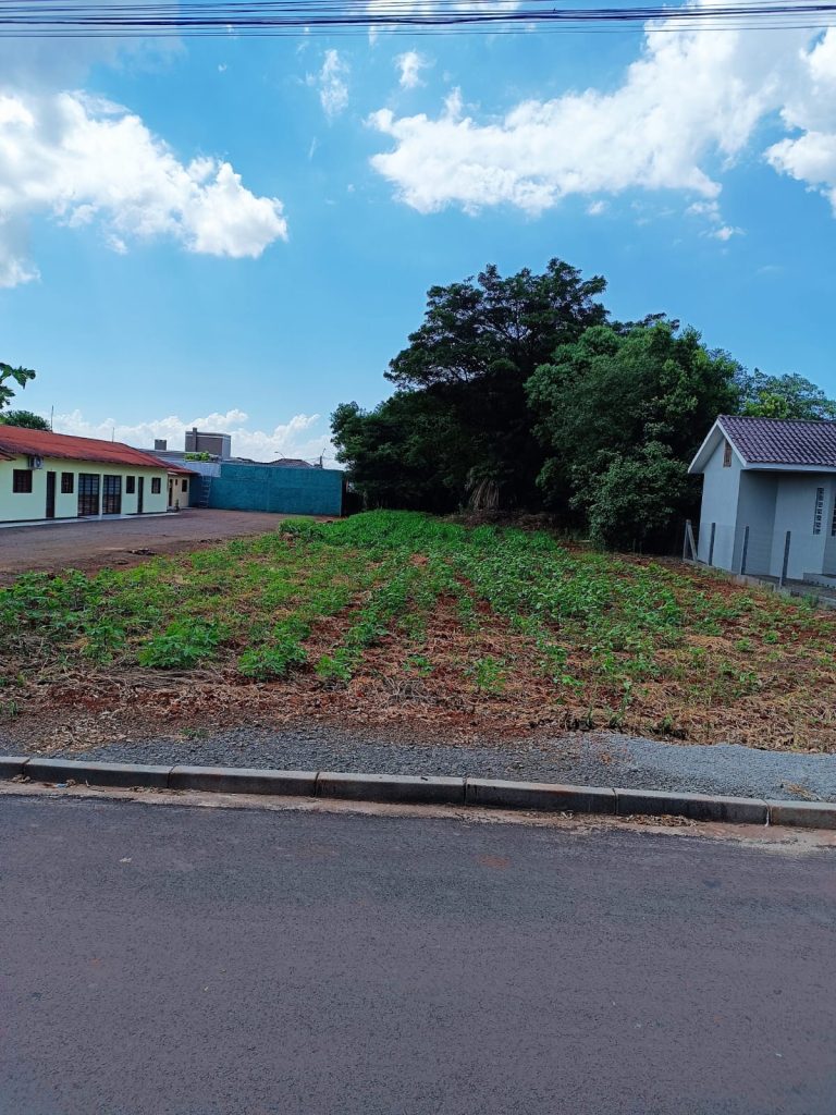 WhatsApp-Image-2024-12-02-at-14.20.35-3