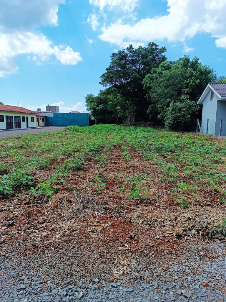 WhatsApp-Image-2024-12-02-at-14.20.36