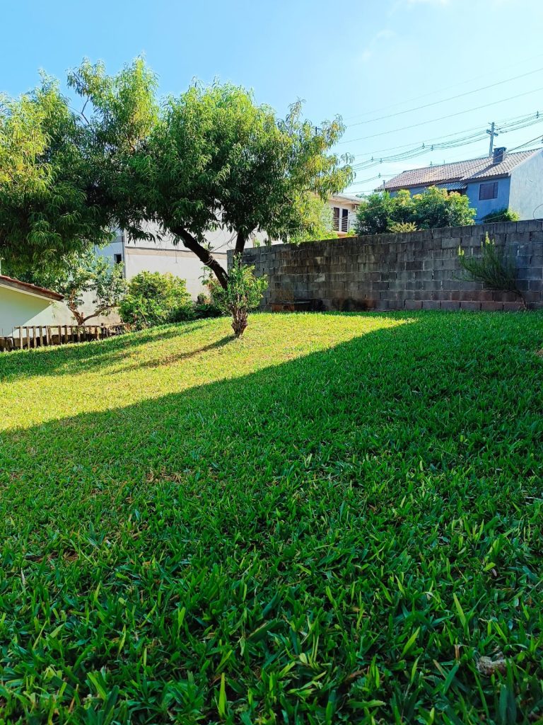 WhatsApp-Image-2025-01-14-at-09.30.02