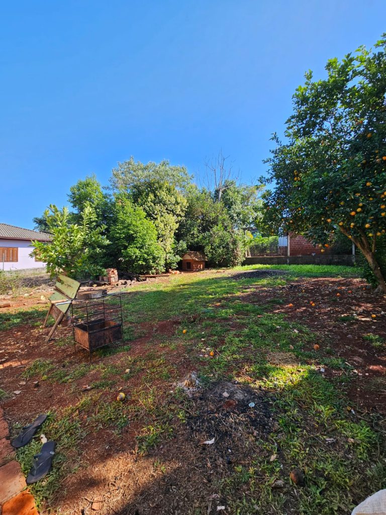 WhatsApp-Image-2025-04-25-at-13.45.49-1