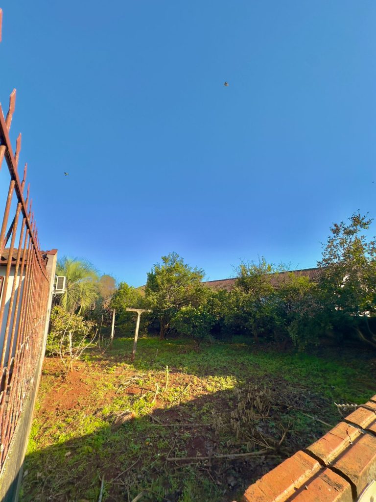 WhatsApp-Image-2025-07-11-at-13.27.39