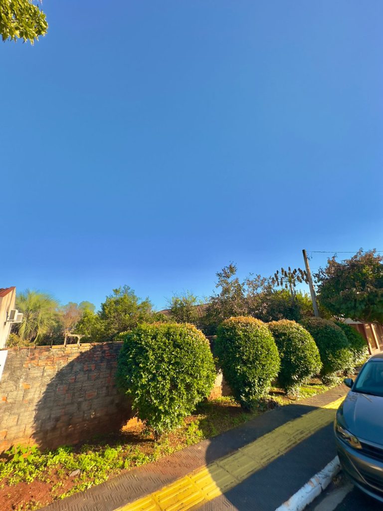 WhatsApp-Image-2025-07-11-at-13.27.41-1