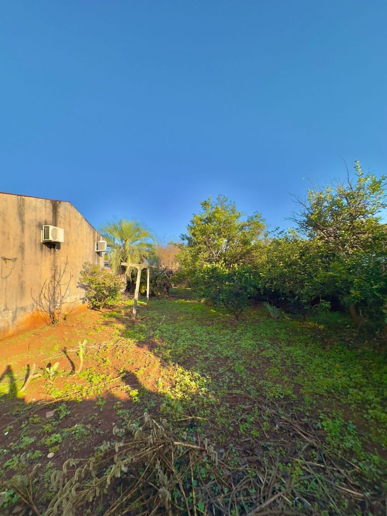 WhatsApp-Image-2025-07-11-at-13.28.16