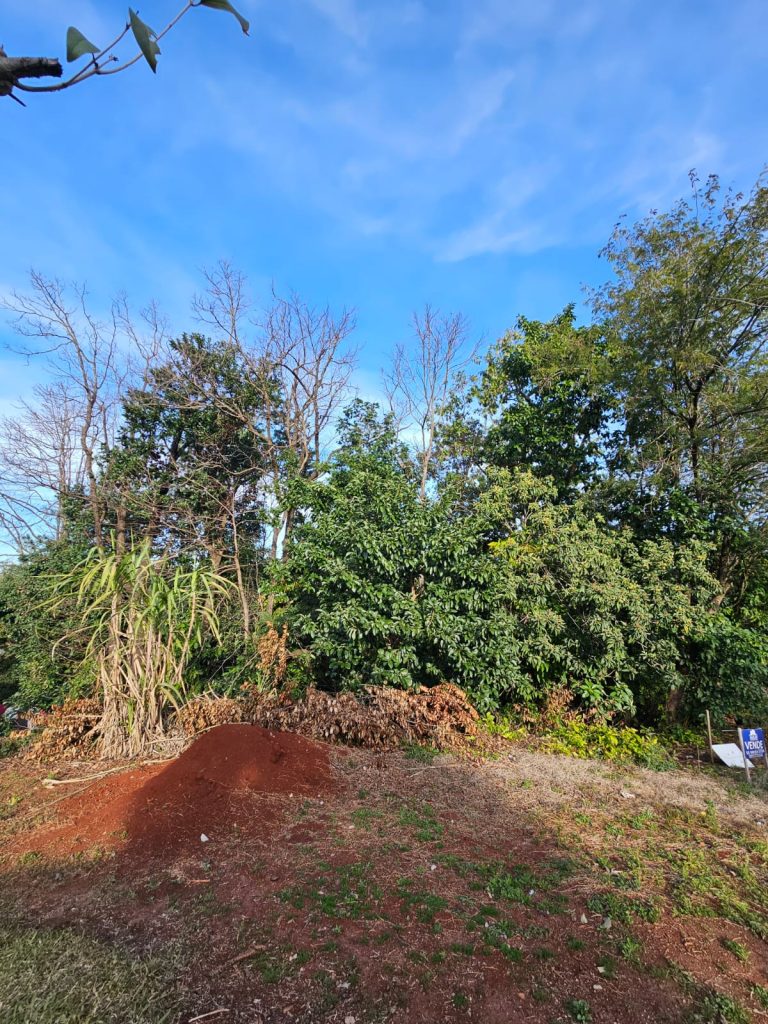 WhatsApp-Image-2025-08-02-at-10.03.30-2