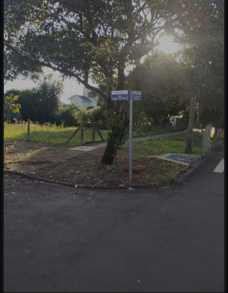 WhatsApp-Image-2025-09-15-at-08.39.44-2