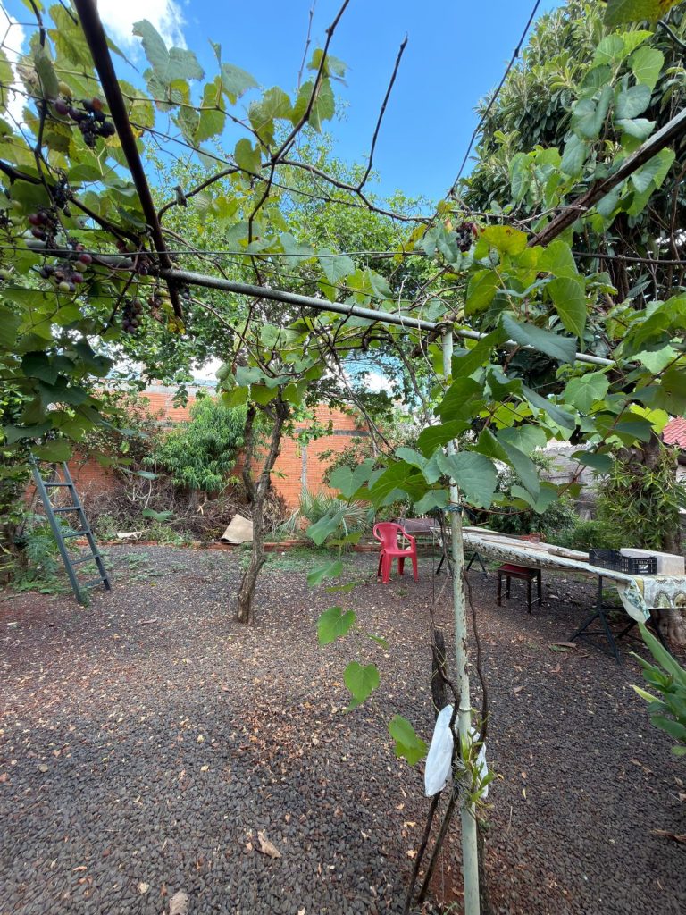 WhatsApp-Image-2026-03-30-at-08.30.35-2-1