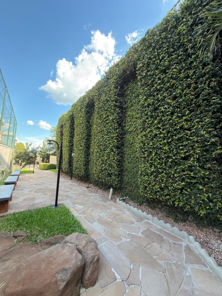 WhatsApp-Image-2026-03-31-at-08.29.06-2